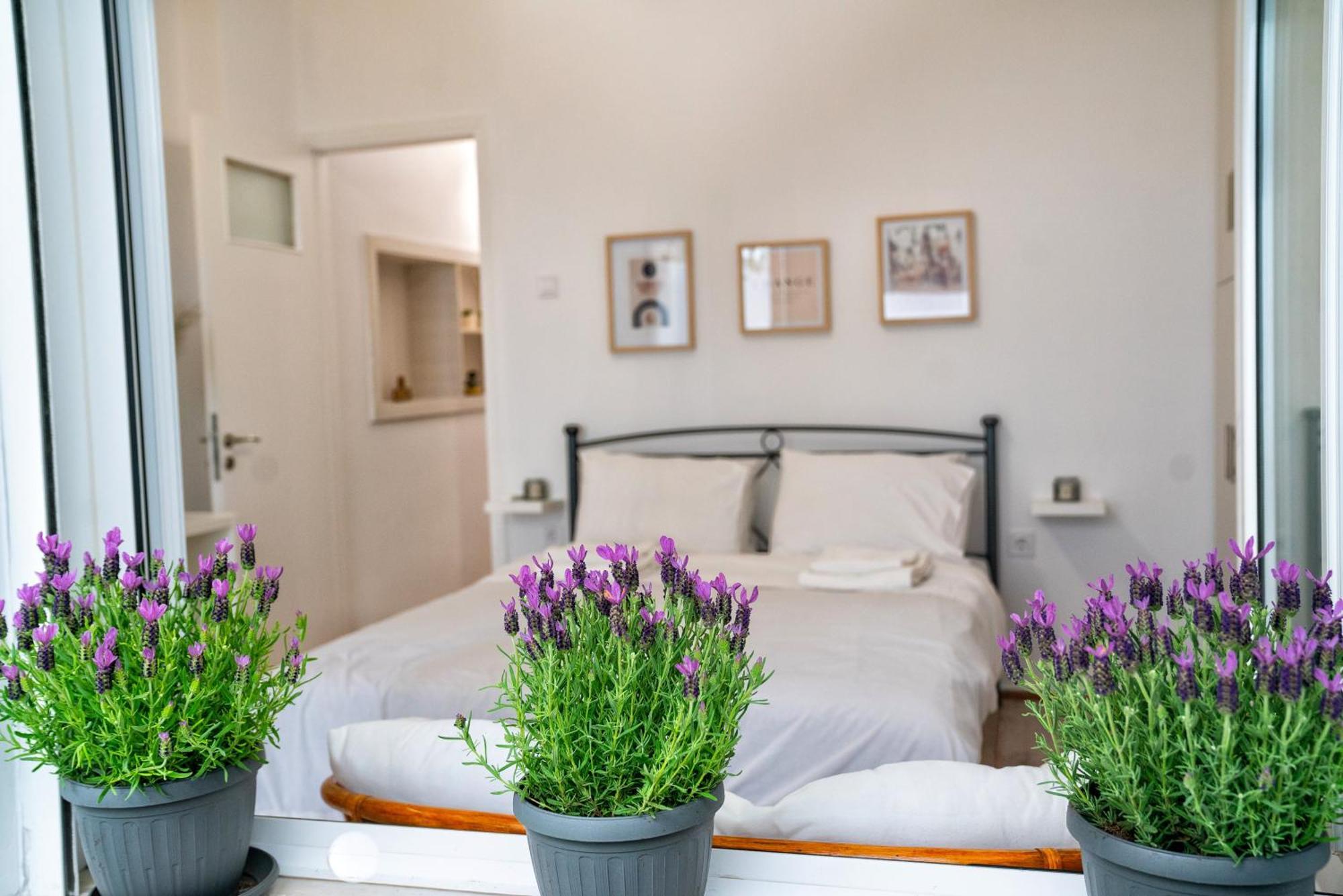 Lux Garden Apartment Near Acropolis In The Heart Of Athens Luaran gambar